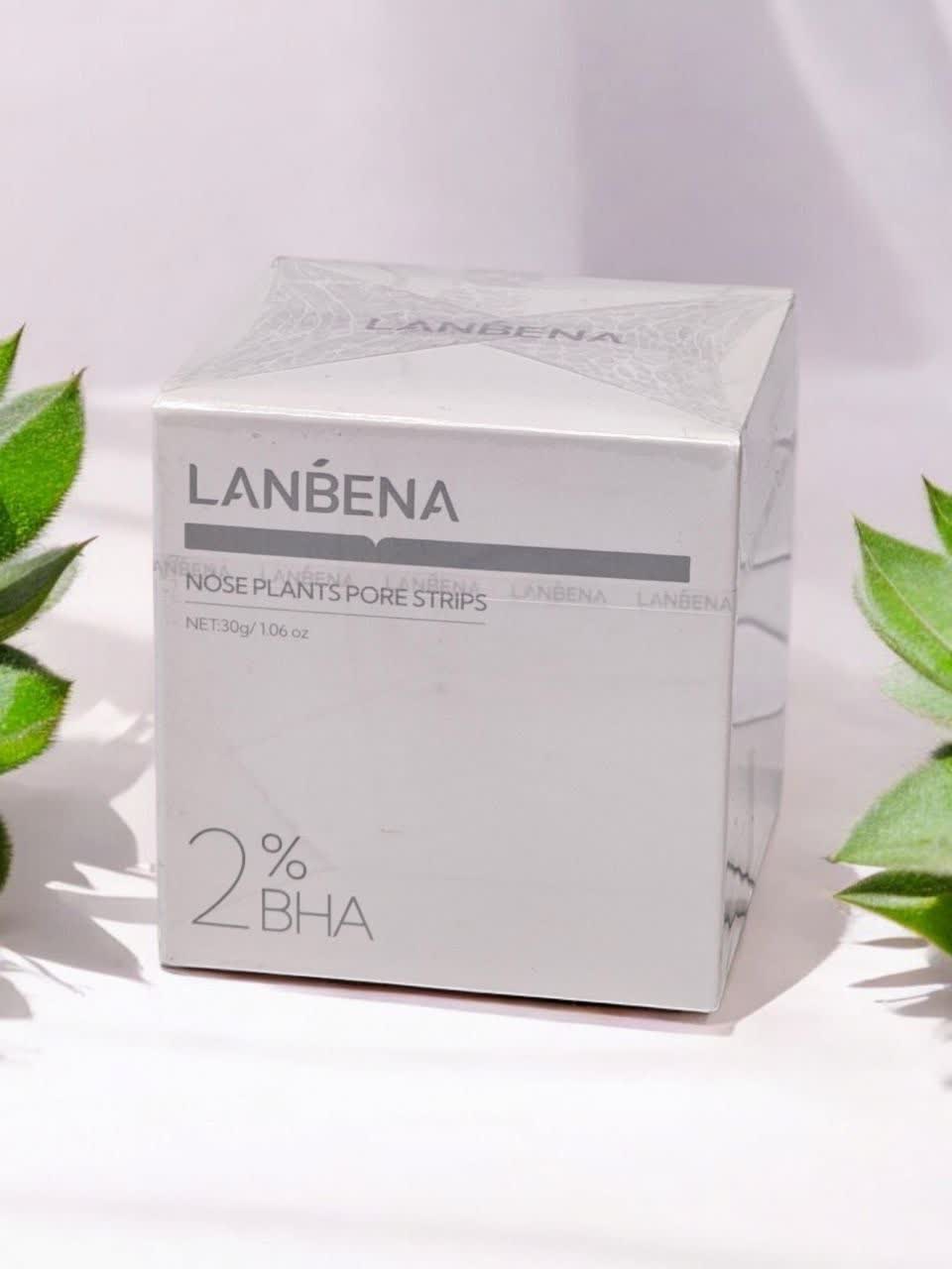 ماسک پاک کننده منافذ و جوش های سرسیاه بینی (سایز بزرگ ) لانبنا LANBENA LB628 اورجینال وارداتی